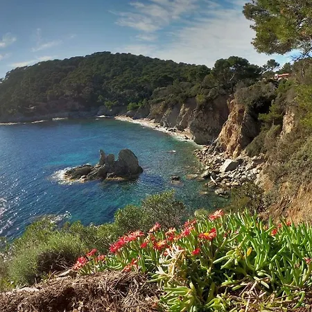 Appartamento A 100 M Du Port Et 500 M Des Plages