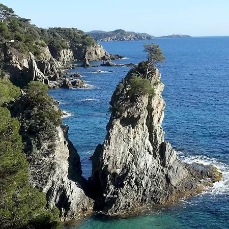 A 100 M Du Port Et 500 M Des Plages Appartamento Hyères